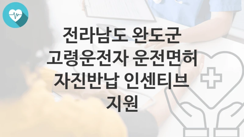 “고령운전자 운전면허 자진반납 인센티브 지원” 전라남도 완도군 복지지원혜택 신청방법과 구비서류