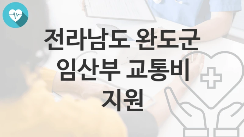 전라남도 완도군
임산부 교통비 지원