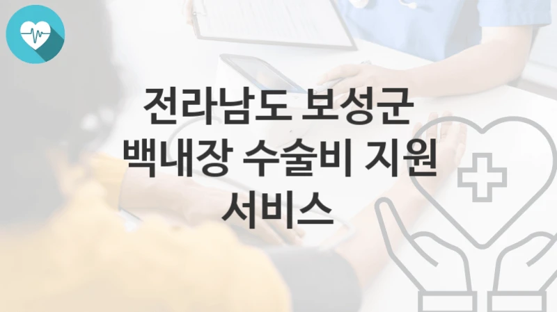 전라남도 보성군
백내장 수술비 지원 서비스