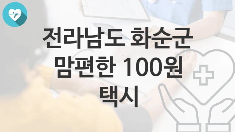 전라남도 화순군
맘편한 100원 택시