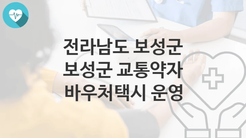 전라남도 보성군 지원정책, 보성군 교통약자 바우처택시 운영-자격조건과 일정