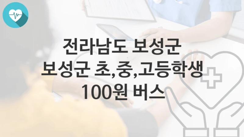 전라남도 보성군
보성군 초,중,고등학생 100원 버스