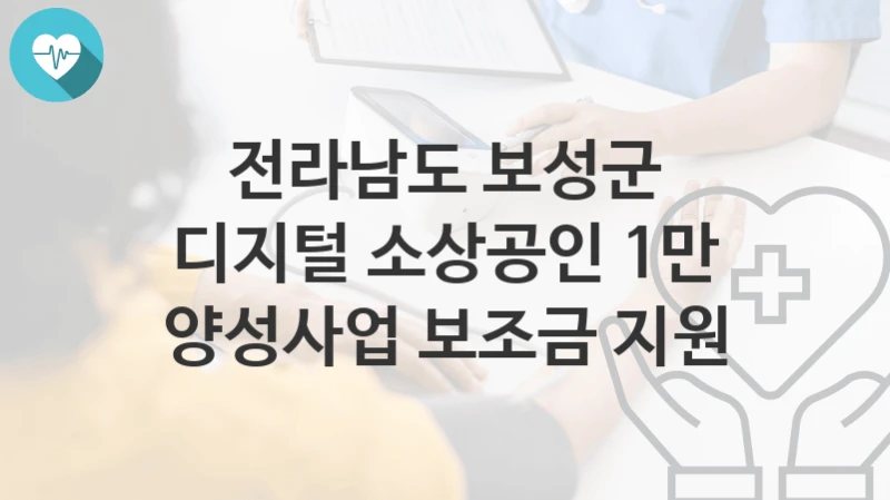 “디지털 소상공인 1만 양성사업 보조금 지원” 전라남도 보성군 복지지원혜택 자격조건과 구비서류
