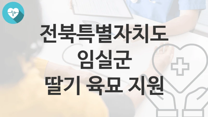 전북특별자치도 임실군
딸기 육묘 지원