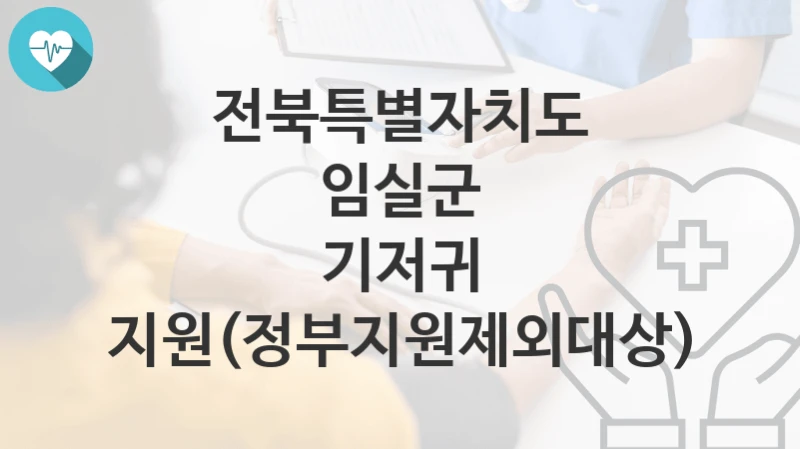 전북특별자치도 임실군
기저귀 지원(정부지원제외대상)