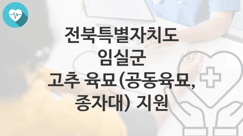 전북특별자치도 임실군
고추 육묘(공동육묘, 종자대) 지원