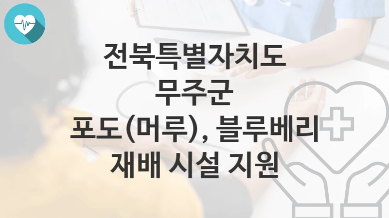 전북특별자치도 무주군 “포도(머루), 블루베리 재배 시설 지원” 복지 지원혜택 신청방법과 구비서류