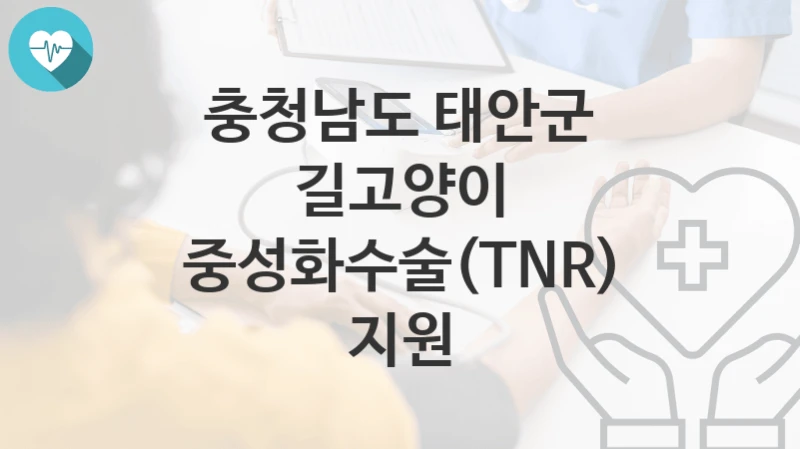 충청남도 태안군
길고양이 중성화수술(TNR) 지원