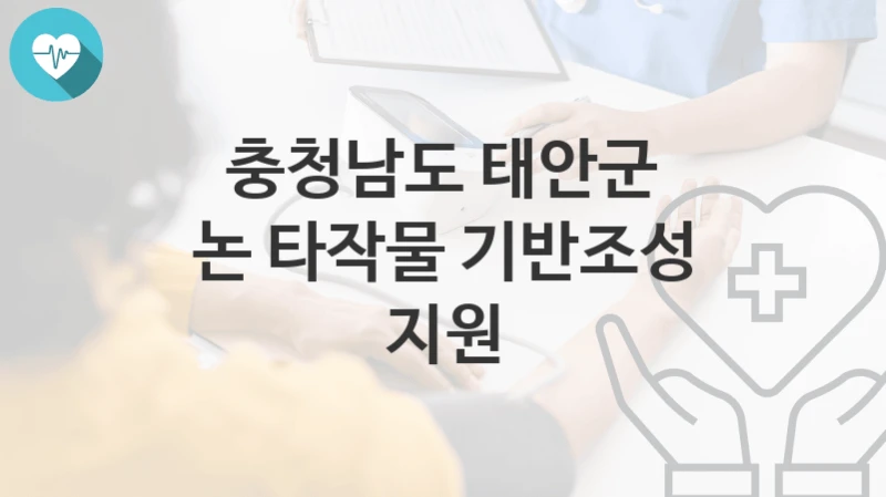 충청남도 태안군
논 타작물 기반조성 지원