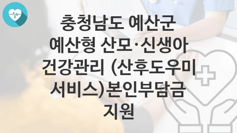 충청남도 예산군
예산형 산모·신생아 건강관리 (산후도우미 서비스)본인부담금 지원