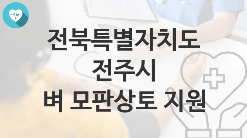 전북특별자치도 전주시
벼 모판상토 지원
