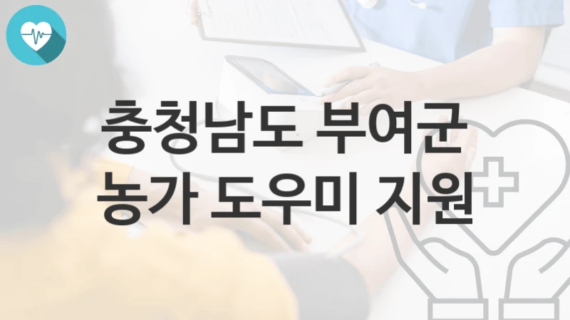 충청남도 부여군
농가 도우미 지원