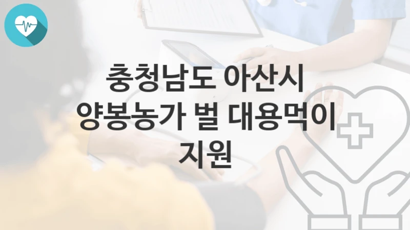 충청남도 아산시
양봉농가 벌 대용먹이 지원
