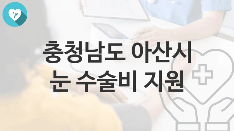 충청남도 아산시
눈 수술비 지원