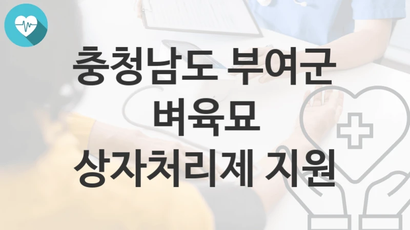 충청남도 부여군
벼육묘 상자처리제 지원