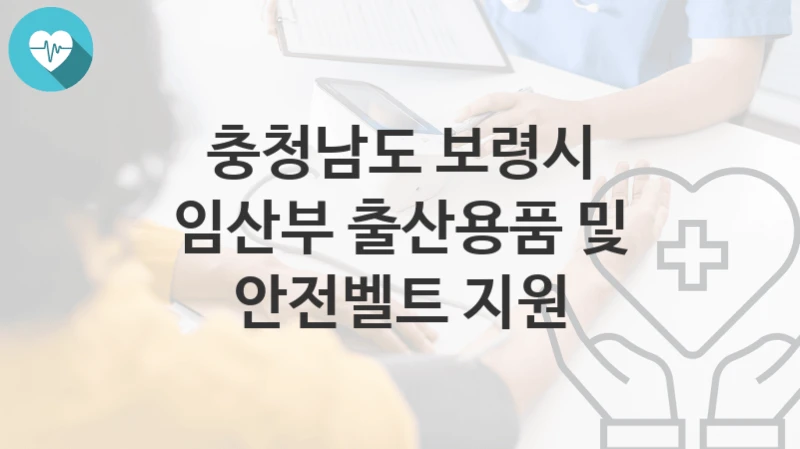 충청남도 보령시
임산부 출산용품 및 안전벨트 지원