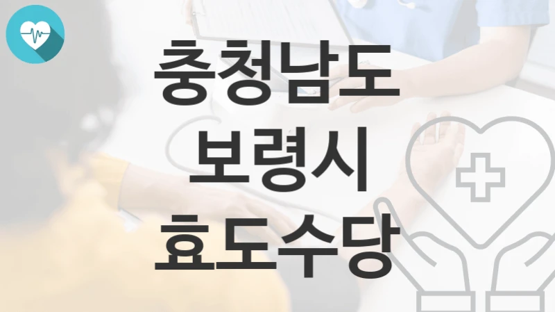 충청남도 보령시
효도수당