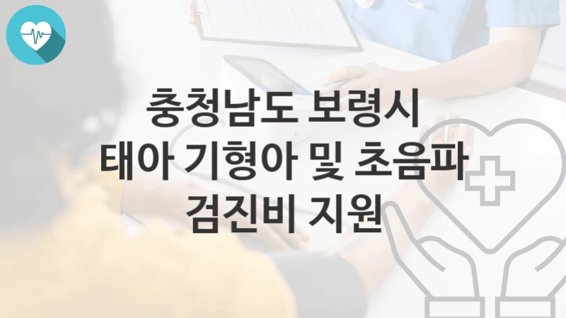 충청남도 보령시
태아 기형아 및 초음파 검진비 지원