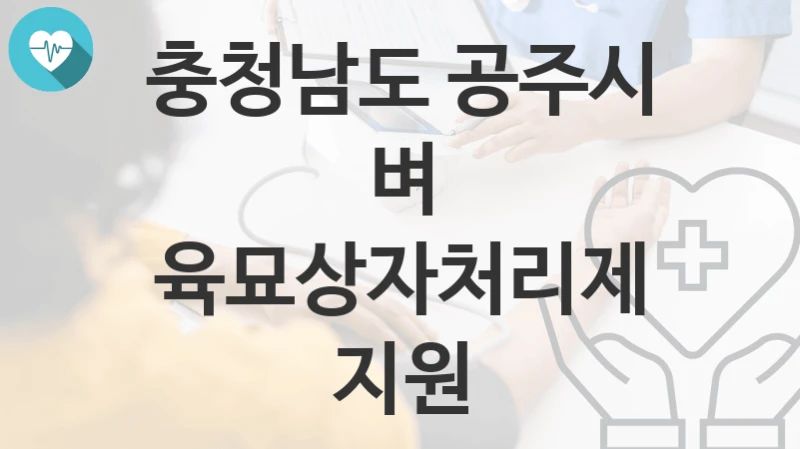 충청남도 공주시
벼 육묘상자처리제 지원