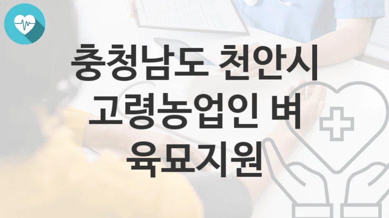 충청남도 천안시
고령농업인 벼 육묘지원