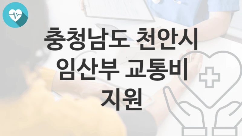 충청남도 천안시
임산부 교통비 지원