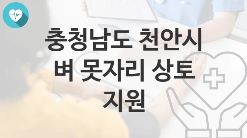 충청남도 천안시
벼 못자리 상토 지원