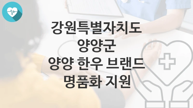 강원특별자치도 양양군
양양 한우 브랜드 명품화 지원