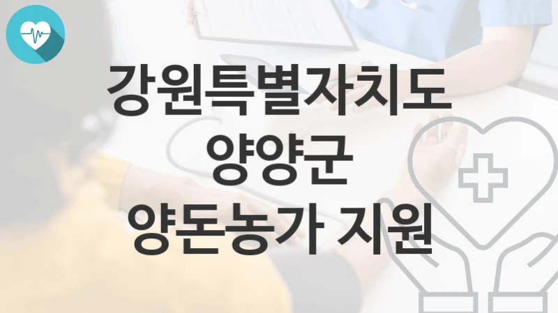 강원특별자치도 양양군
양돈농가 지원