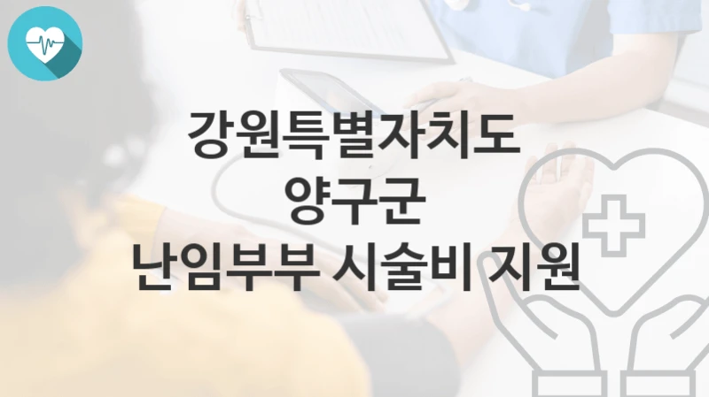 강원특별자치도 양구군
난임부부 시술비 지원